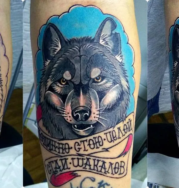 color neo traditional татуировка на forearm #25994 | Тату мастер Вячеслав
