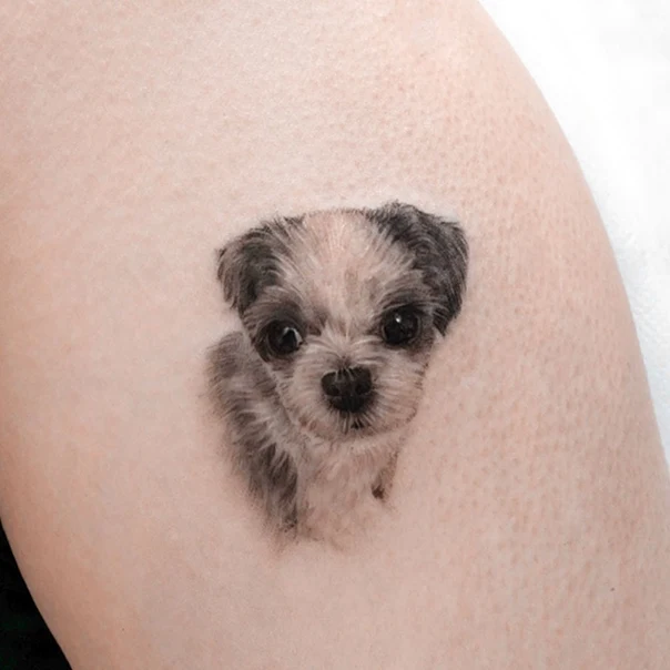 Micro Realism Dog tattoo on Upper Arm
