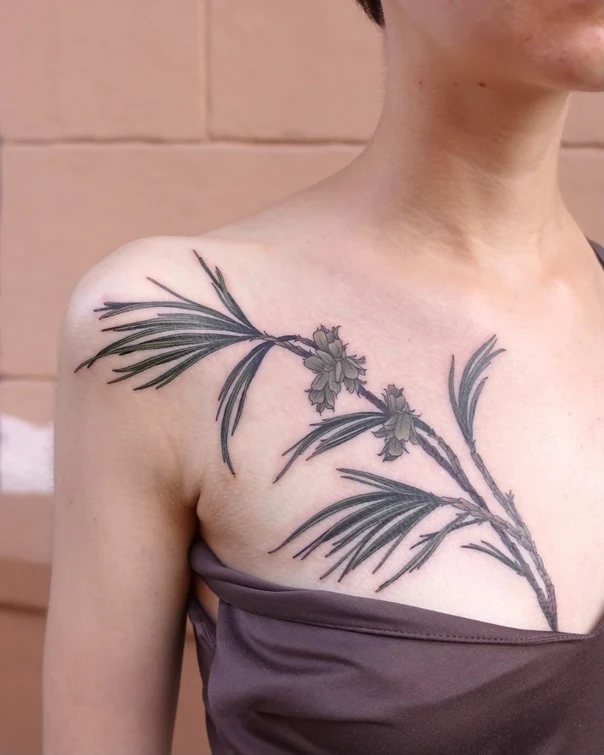 Botanic Plant, Branch tattoo on Collarbone