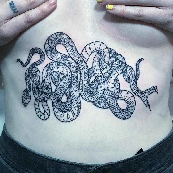 Linework Snake, Roses tattoo on Stomach