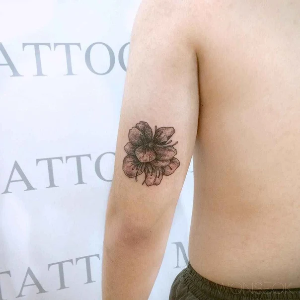 Botanic Flower tattoo on Forearm