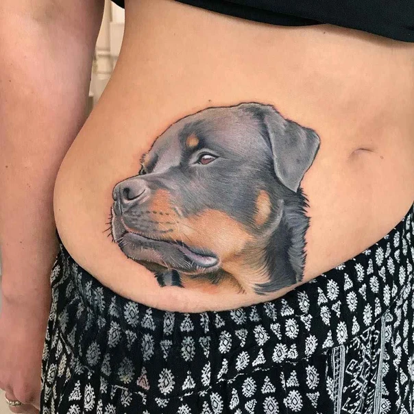 Realism Dog, Animal tattoo on Stomach