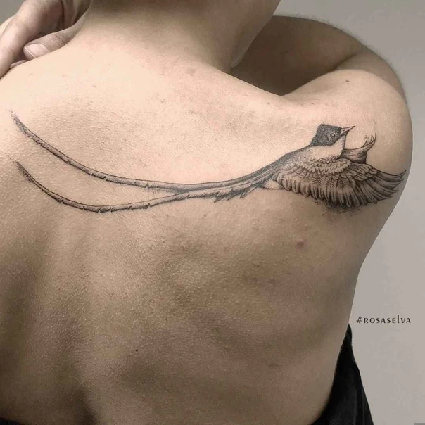 Black & Grey Bird tattoo on Shoulder Blade
