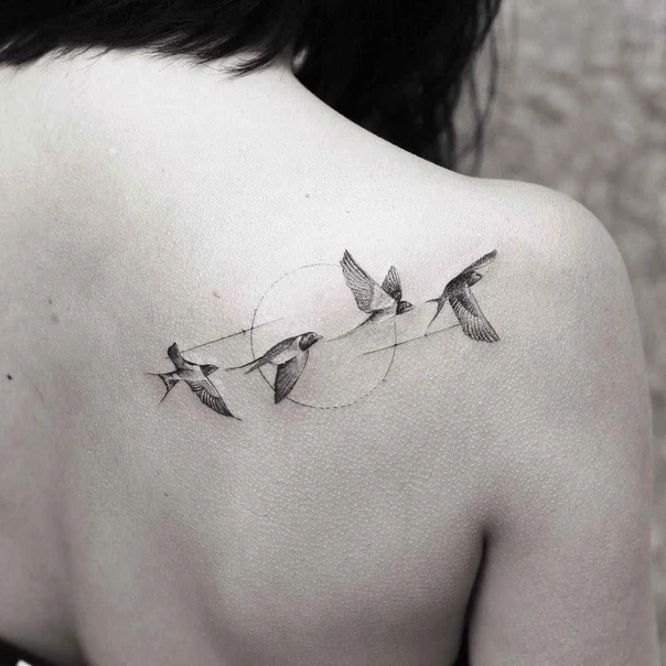 Fineline Birds tattoo on Shoulder Blade