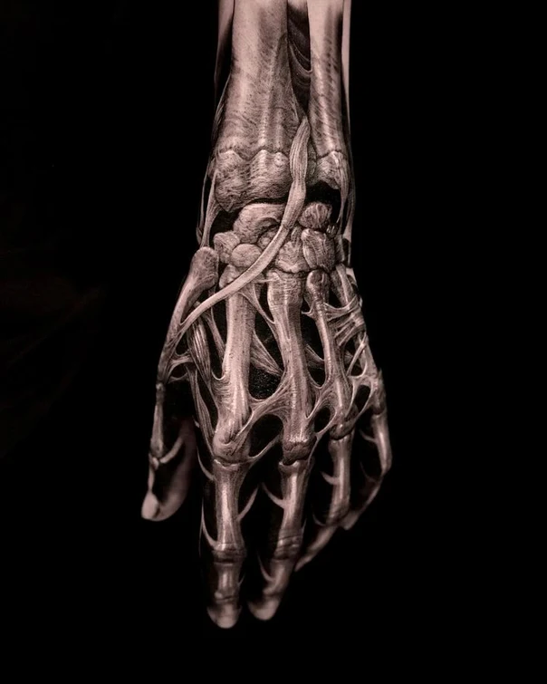 Biomechanical Anatomy, Skeleton tattoo on Forearm