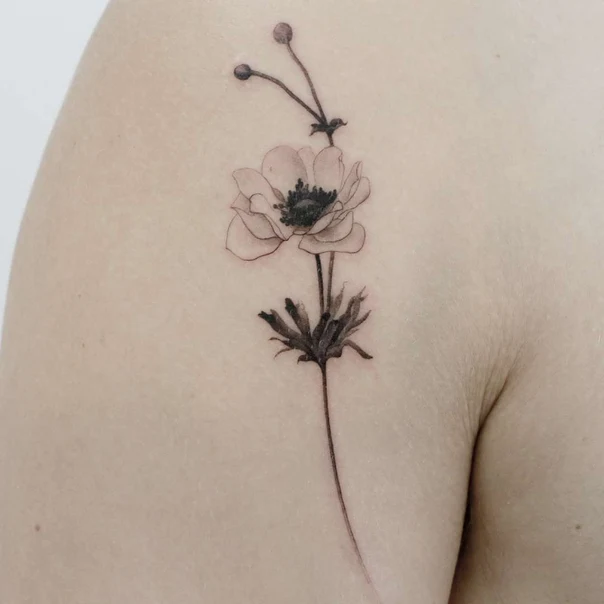 Fineline Flower, Botanical tattoo on Shoulder Blade