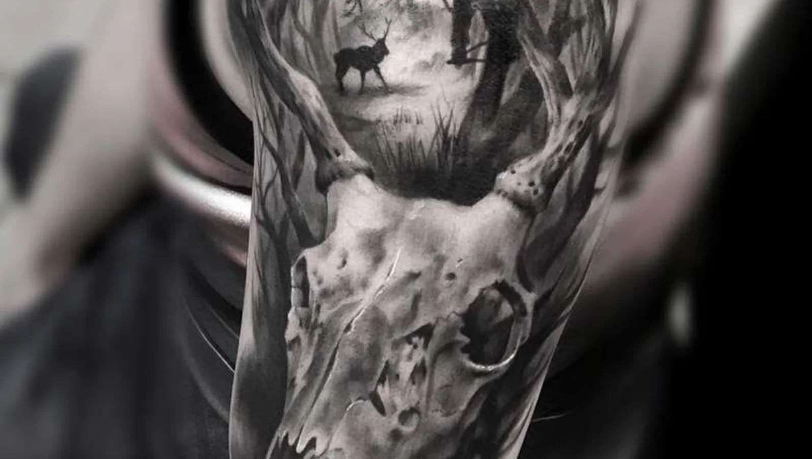 Scary and exciting images by Matt Mrowka