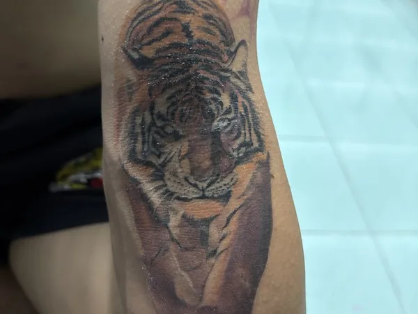 DivineinkTattoo Thailand