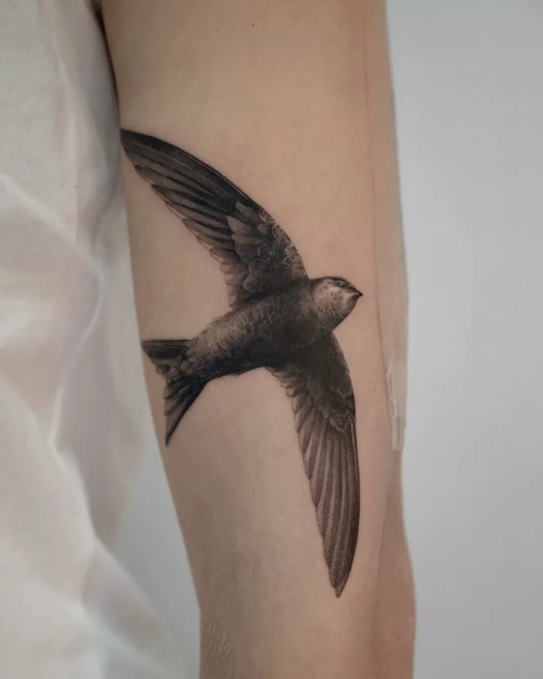 Swallow tattoo by Maxim Pishunov