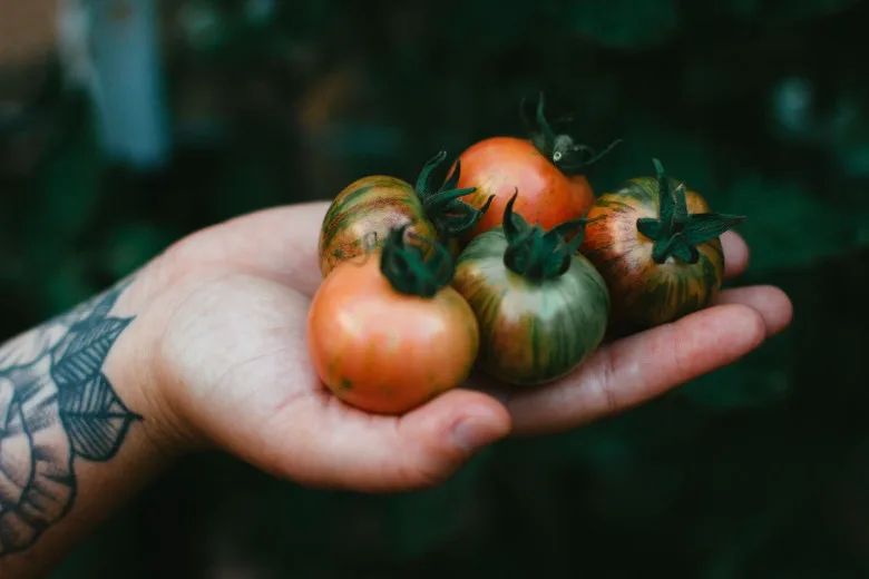 Ernährung und Tattoos: 10 Schritte, um die Helligkeit und Schönheit Ihrer Tattoos zu bewahren - image 1