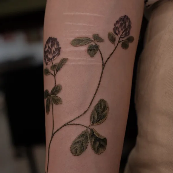 Botanical tattoo by Salvia.ink in Красноярск