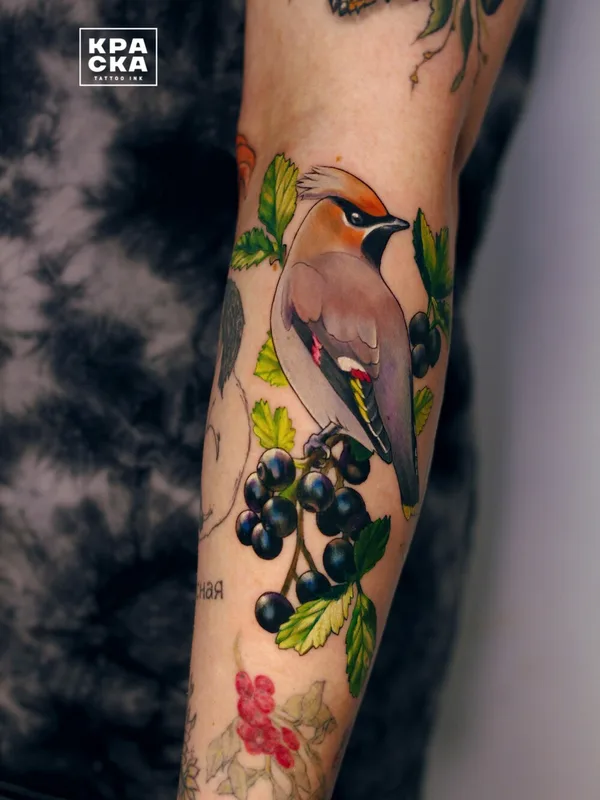 color illustrative татуировка на forearm #95462 | Тату мастер Дарья Фараонова