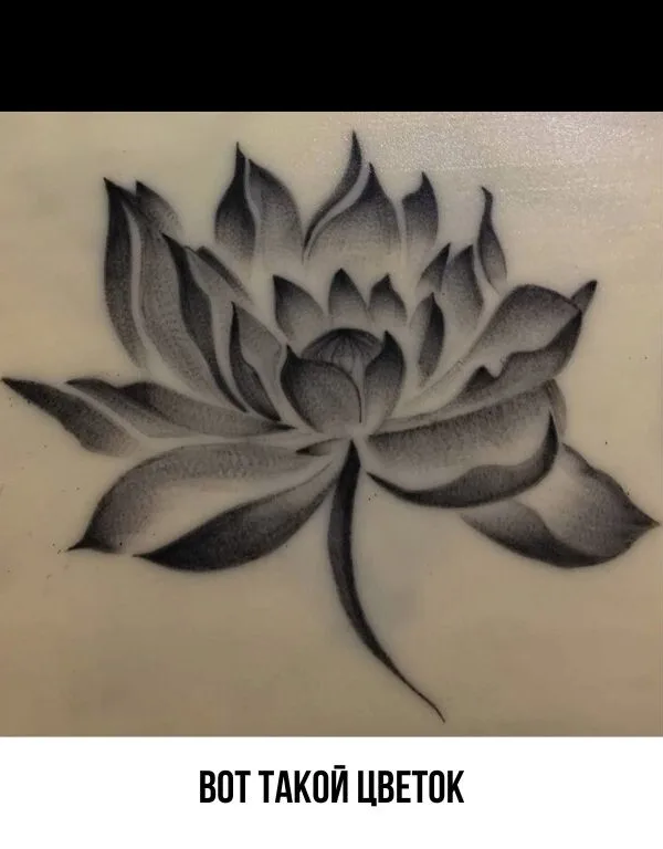 black and grey black and grey татуировка на unknown #95901 | Тату мастер Светлана Лобанова 