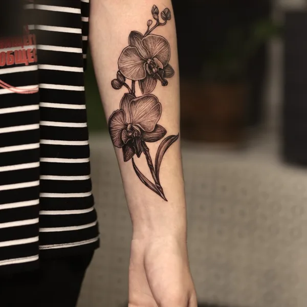 Neo Traditional tattoo by Ян Врублевский in Moscow