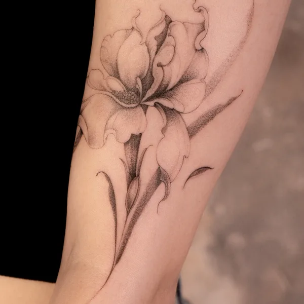 Graphic tattoo by Nika Taratuta in Haifa