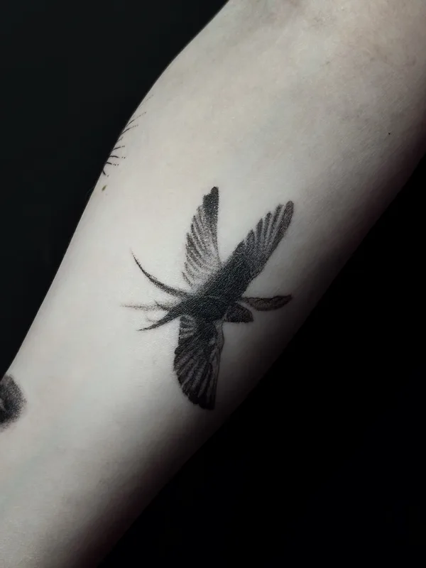 female blackandgrey microrealism Tatuagem em forearm #104785 | Tatuador Екатерина Сысоева