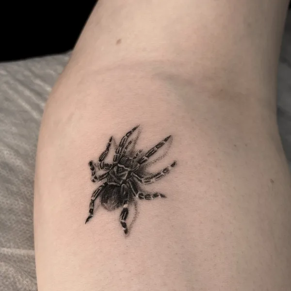 whipshading tattoo by Анна Дубровина in Иркутск