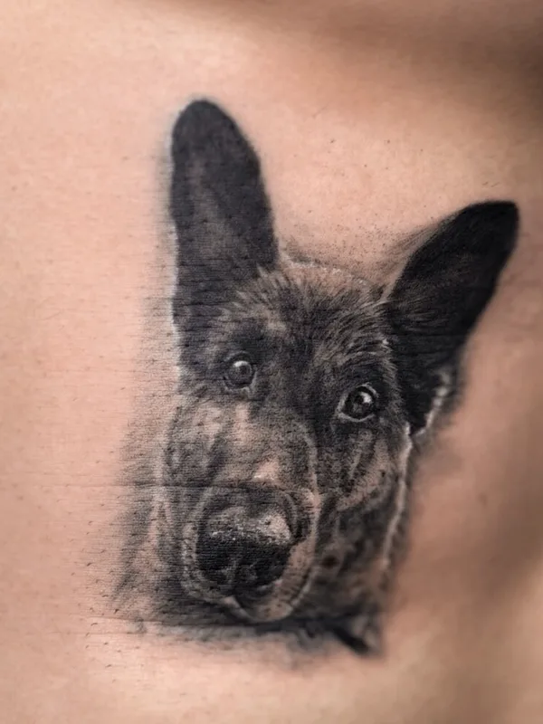 male black microrealism татуировка на stomach #105693 | Тату мастер Анна Дубровина