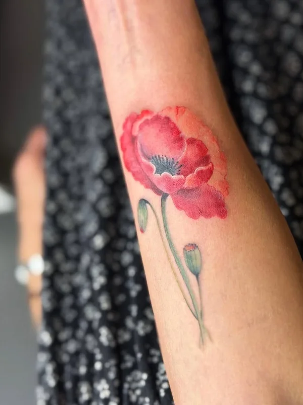 color botaniс tattoo on forearm #95407 | Tattoo Artist Tatyana Boyko