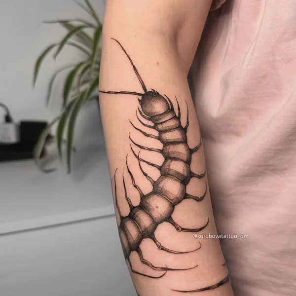 Graphic tattoo by Елена Коробова in Saint Petersburg