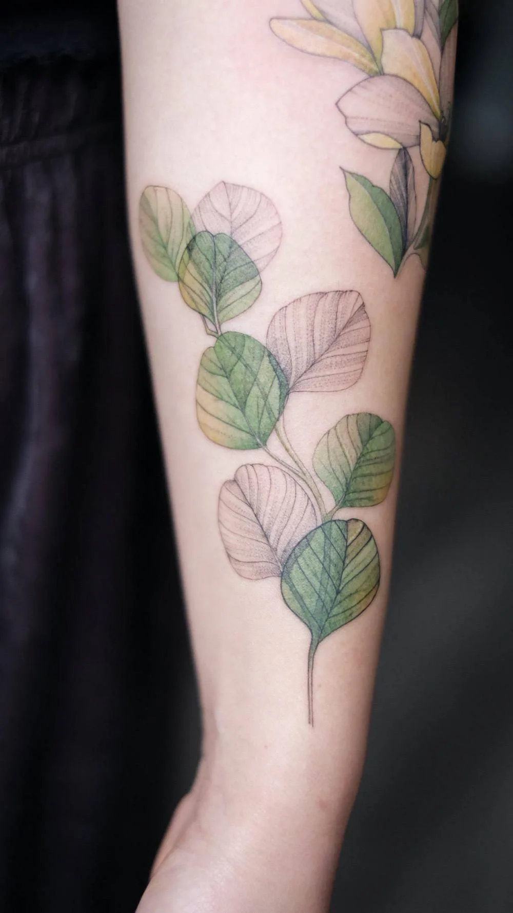 Tattoo artist Nora Ink, graphic, watercolor tattoo | Los Angeles, United States