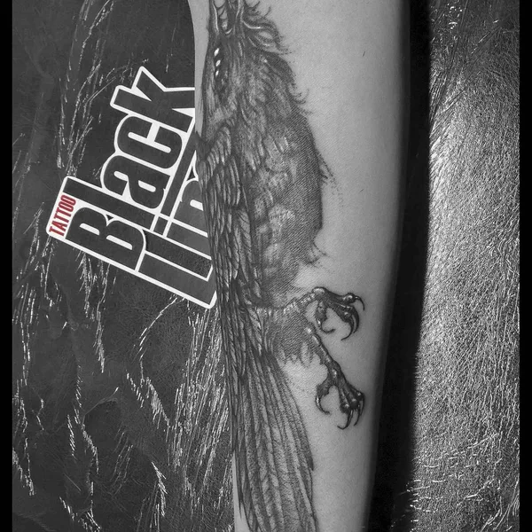 Sketch tattoo by Александр Матвеев in Тюмень