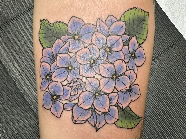 Ophidian Tattoo Gallery