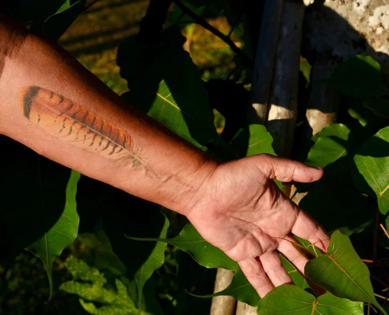 Peter Kater Tattoo