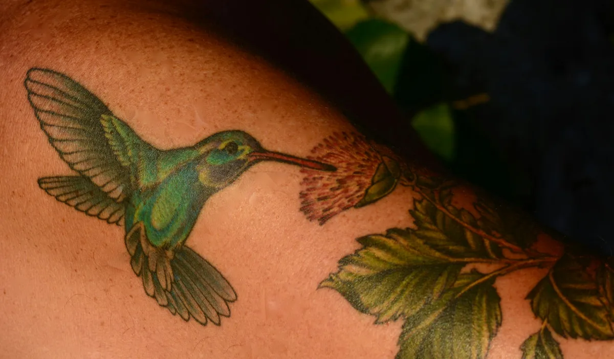 Peter Kater Hummingbird Tattoo