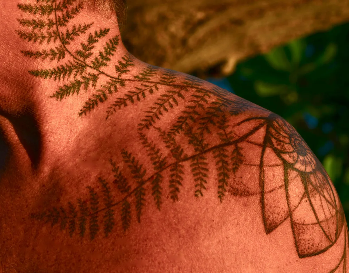 Peter Kater Palapalai Fern Tattoo