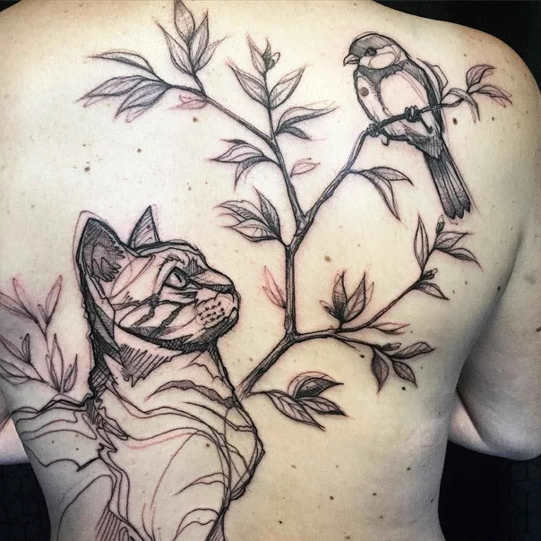 Sketch Cat, Bird tattoo on Upper Back