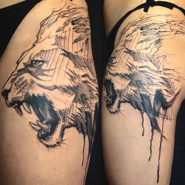 Sketch Lion tattoo on Thigh
