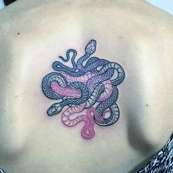 Illustrative Snakes tattoo on Upper Back