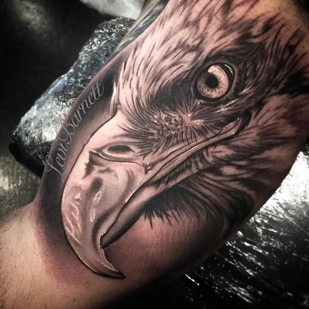 Realism Eagle tattoo on Forearm