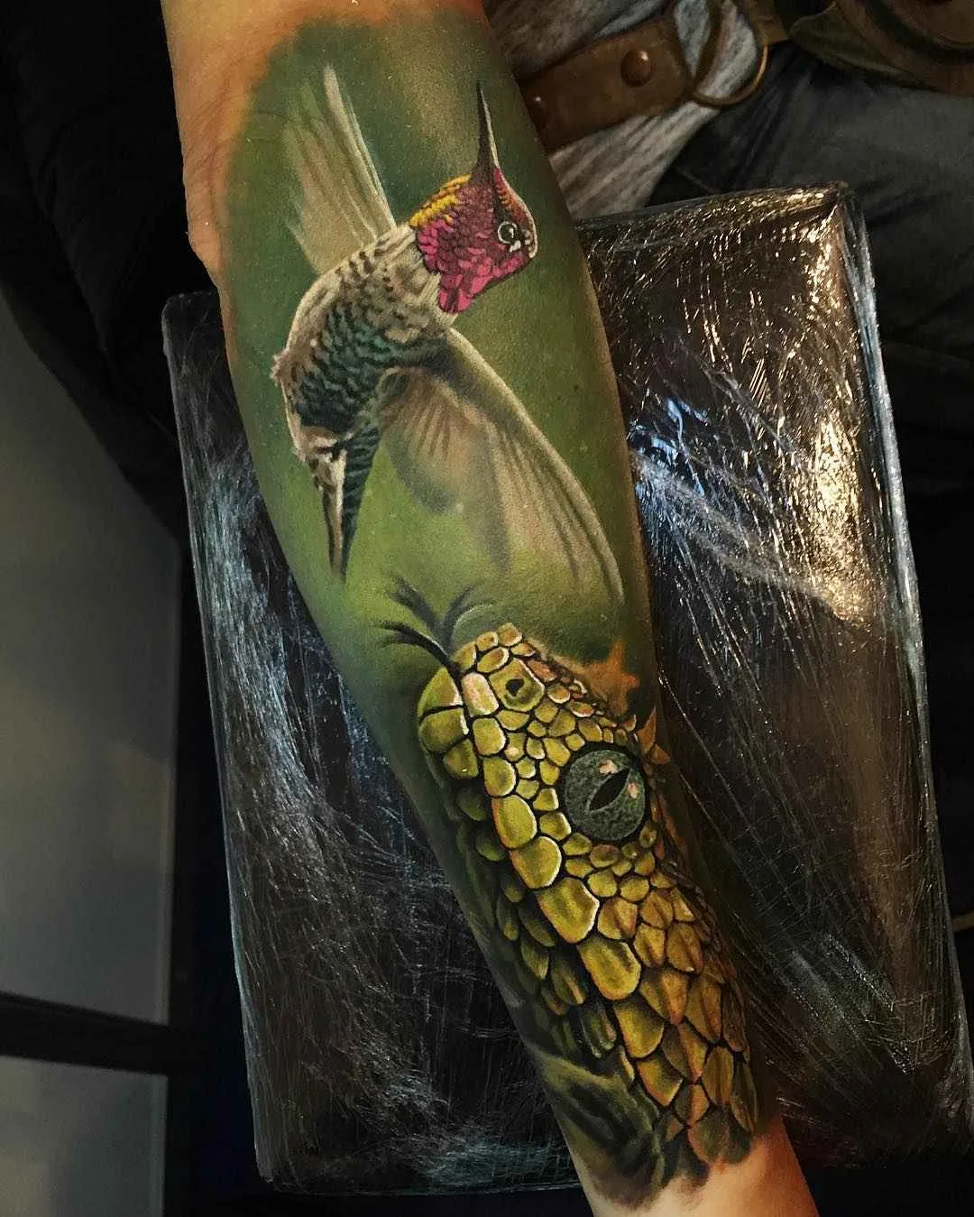A full-colour realistic tattoo on the forearm showing a hummingbird in flight confronting a coiled snake, with detailed iridescent plumage and precise shading.