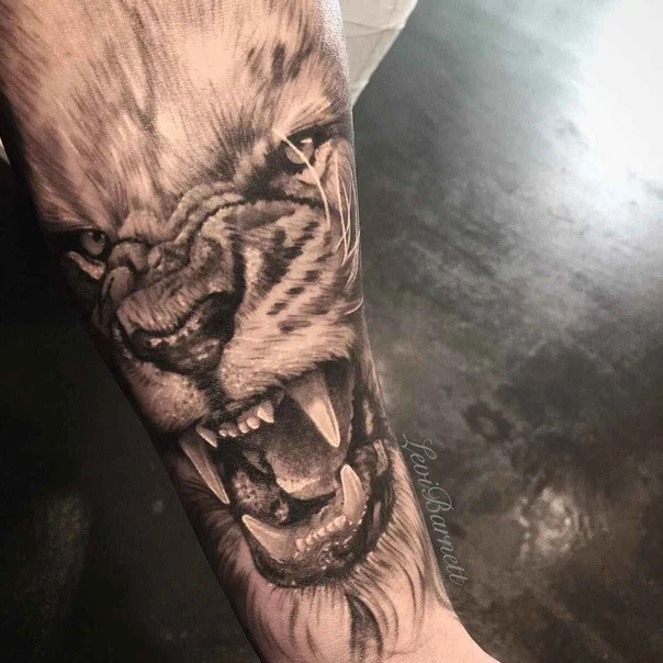 Realism Lion tattoo on Forearm