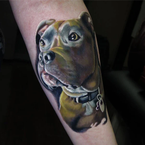 Realism Dog, Animal tattoo on Forearm