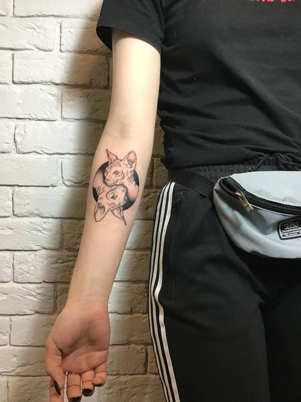 Лайнворк Cat, Yin yang tattoo на Предплечье