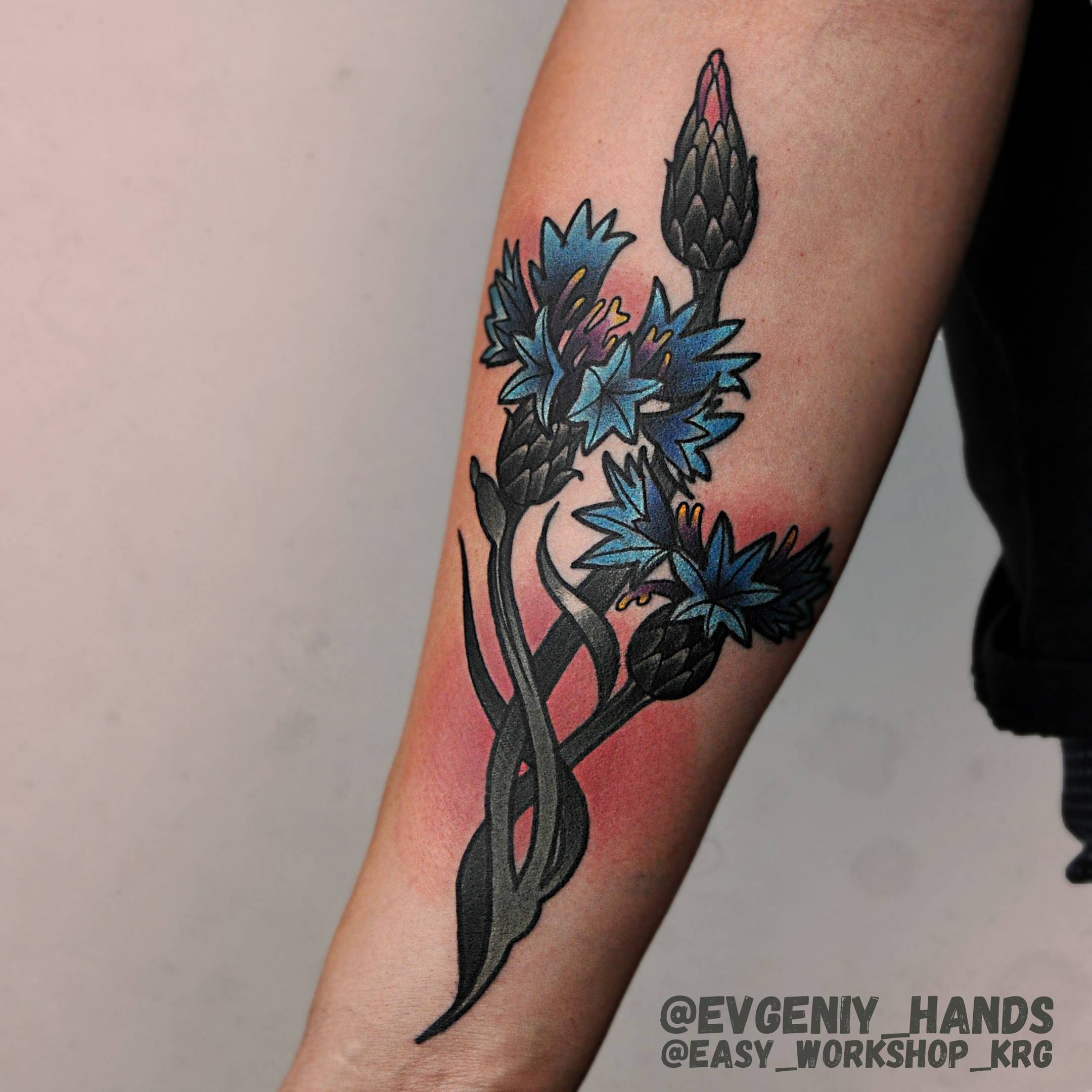 Cornflower, one of my favourite... - Artist Nikita Tattoo | Facebook