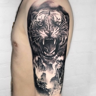 🔥 Горячие фото, портфолио модели  #34556  