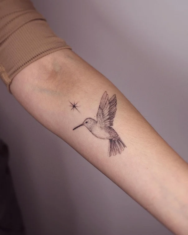 Fineline Hummingbird, Star tattoo on Forearm