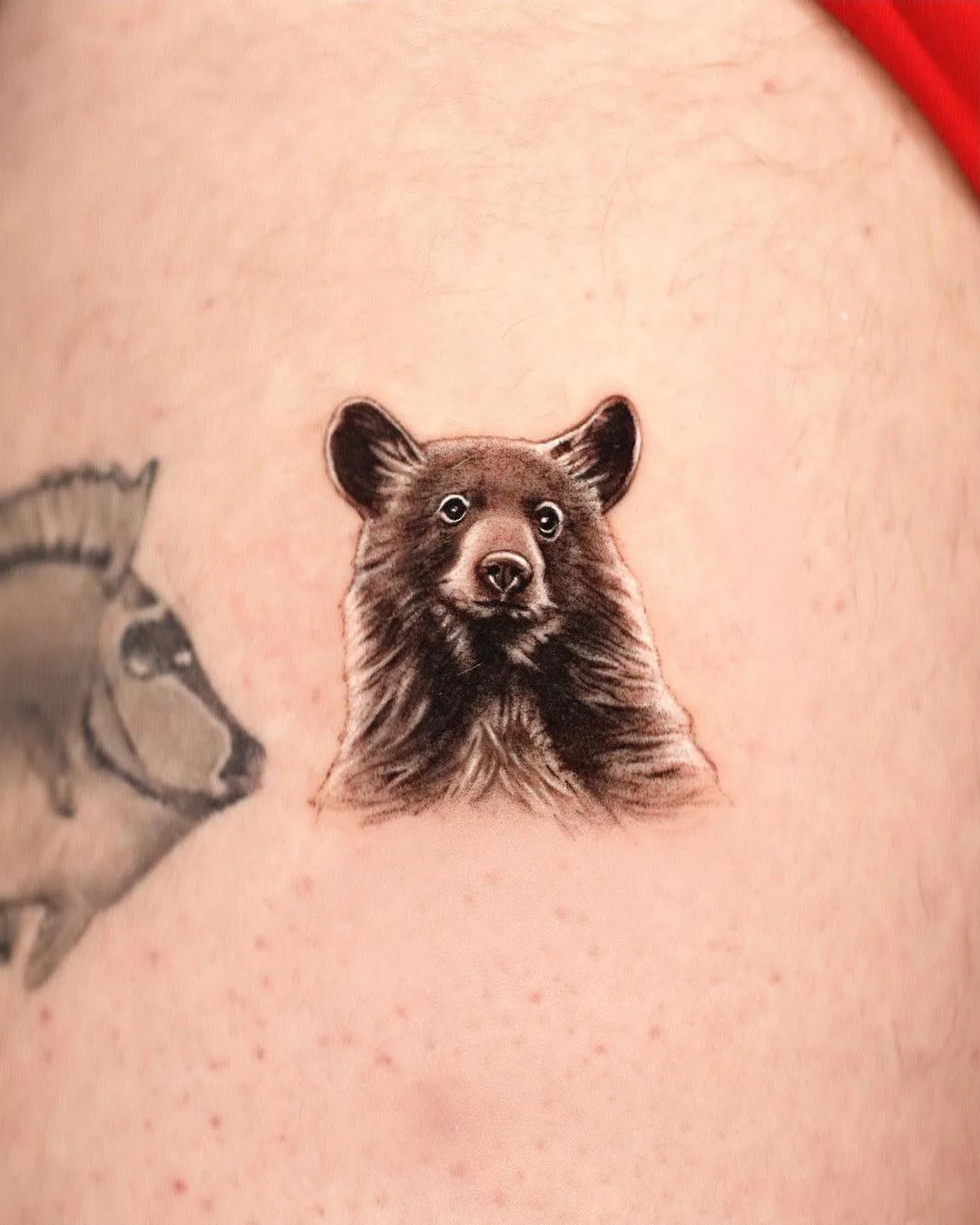 A realistic black and grey tattoo of a bear's head placed on the side of the body.
