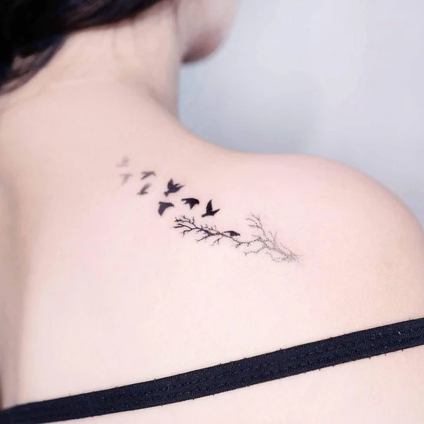 Linework Birds, Branch tattoo on Shoulder Blade