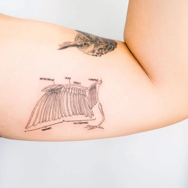 Linework Owl, Wing tattoo on Bicep