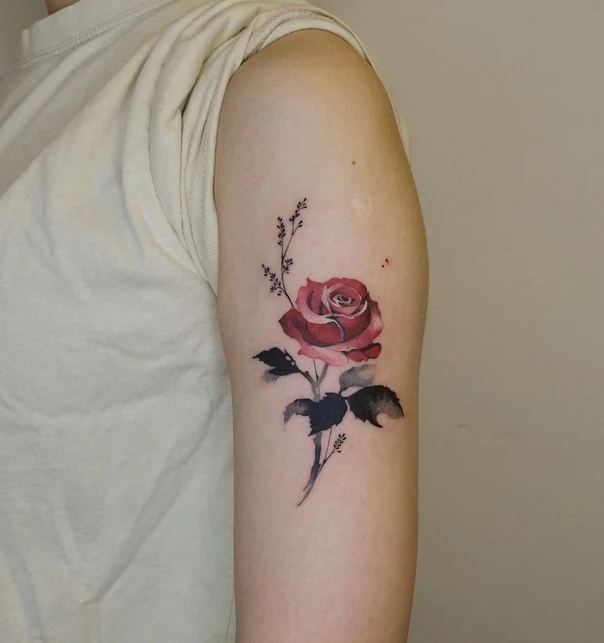 Watercolor Rose, Flower tattoo on Upper Arm