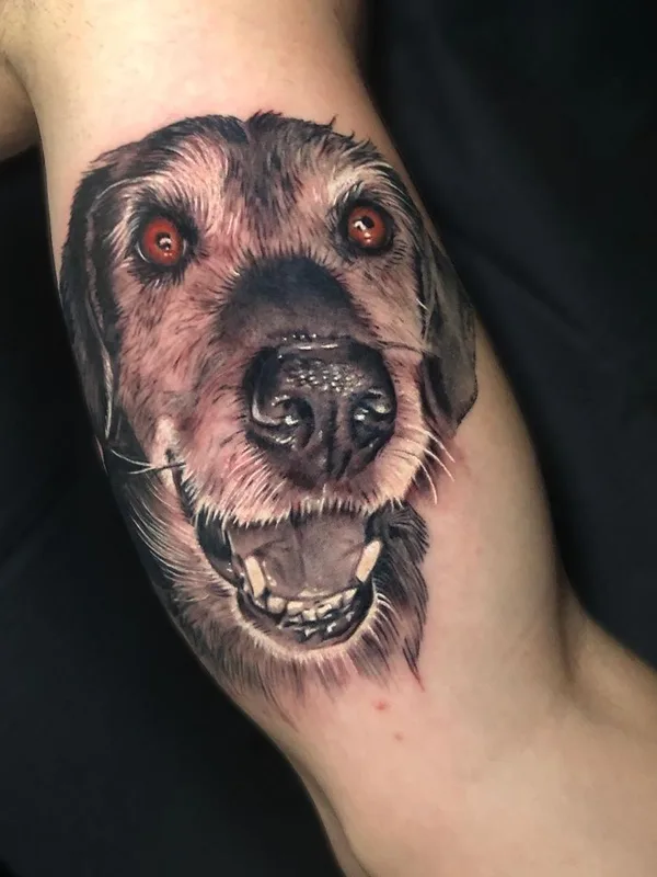 color realism 纹身 在 forearm #47372 | 纹身师 David Barrera Garcia