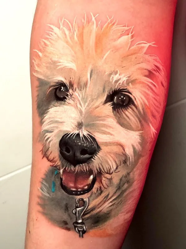 color realism 纹身 在 forearm #47374 | 纹身师 David Barrera Garcia