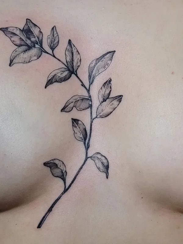 female black and grey fineline Tatuaggio su chest #47410 | Tatuatore Aija May
