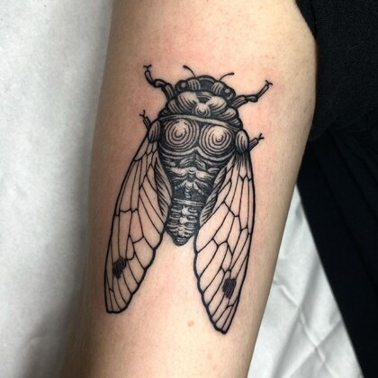 Тату эскиз #47780 Тату мастер Cedric Maquin 