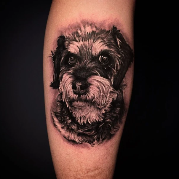 Realism Dog tattoo on Forearm